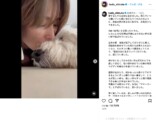 工藤静香、愛犬との別れに深い悲しみの画像