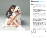 工藤静香、愛犬との別れに深い悲しみの画像