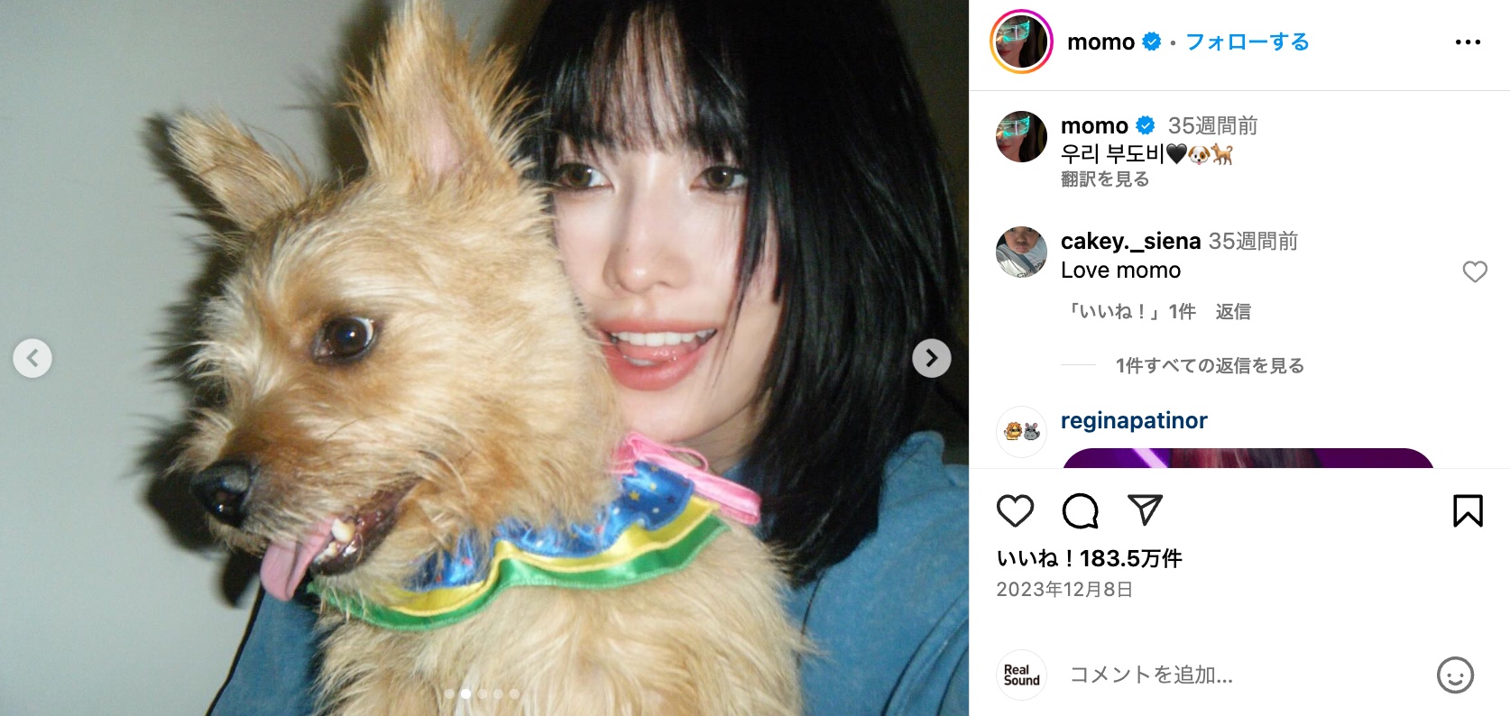 TWICE MOMO、愛犬とリラックスモードの画像