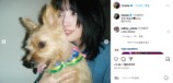 TWICE MOMO、愛犬とリラックスモードの画像