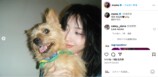 TWICE MOMO、愛犬とリラックスモードの画像