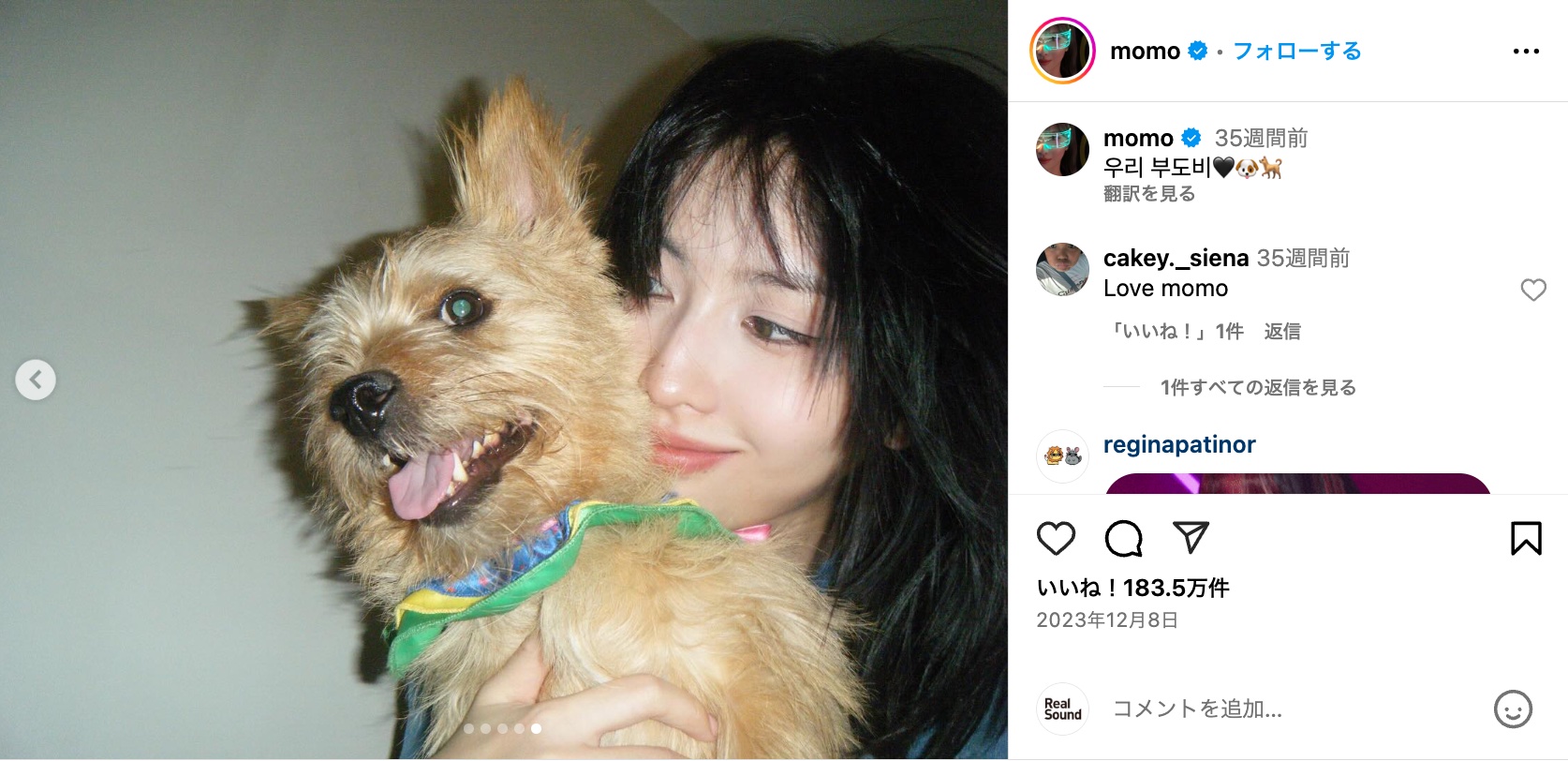 TWICE MOMO、愛犬とリラックスモードの画像