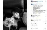 TWICE MOMO、愛犬とリラックスモードの画像