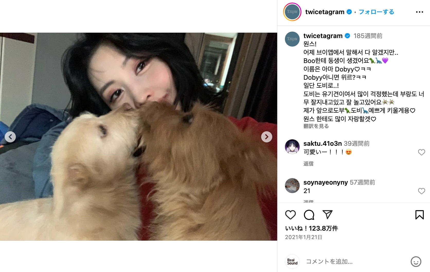 TWICE MOMO、愛犬とリラックスモードの画像