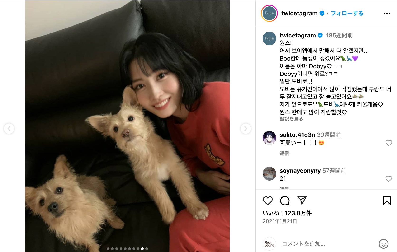 TWICE MOMO、愛犬とリラックスモードの画像