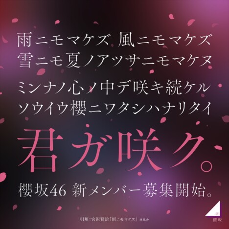 櫻坂46＆日向坂46、新メンバーオーディション開催を同時発表　両グループ併願も可能に