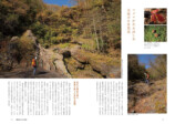 密かなブーム『富士下山』とは？の画像