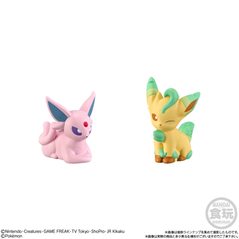 「ポケモンキッズ」最新ラインナップが発売