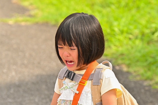 『西園寺さんは家事をしない』三角関係が勃発の画像