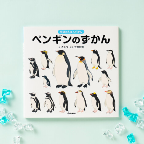 【重版情報】ペンギンのことがまるごとわかる！　絵本のような図鑑『ペンギンのずかん』が話題