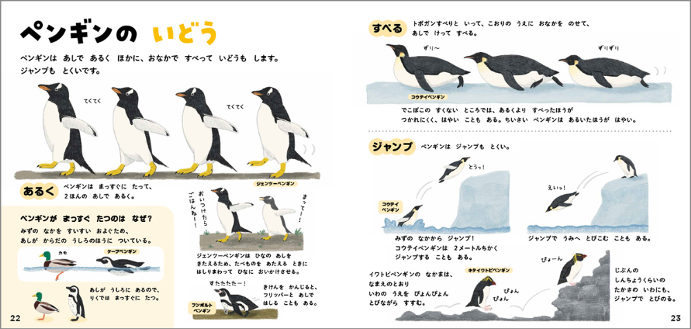 絵本のような図鑑『ペンギンのずかん』重版の画像