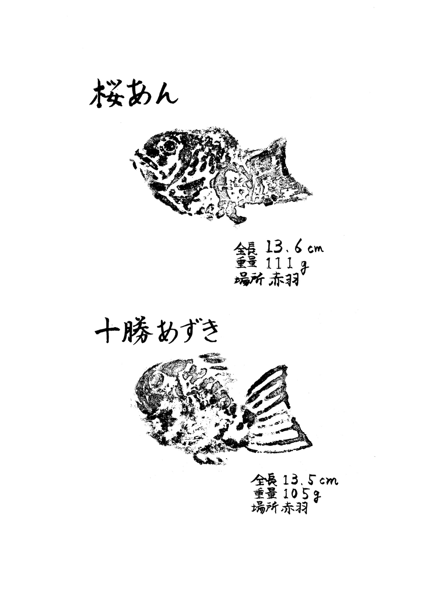 【漫画】フライドフィッシュは飛ぶフィッシュの画像