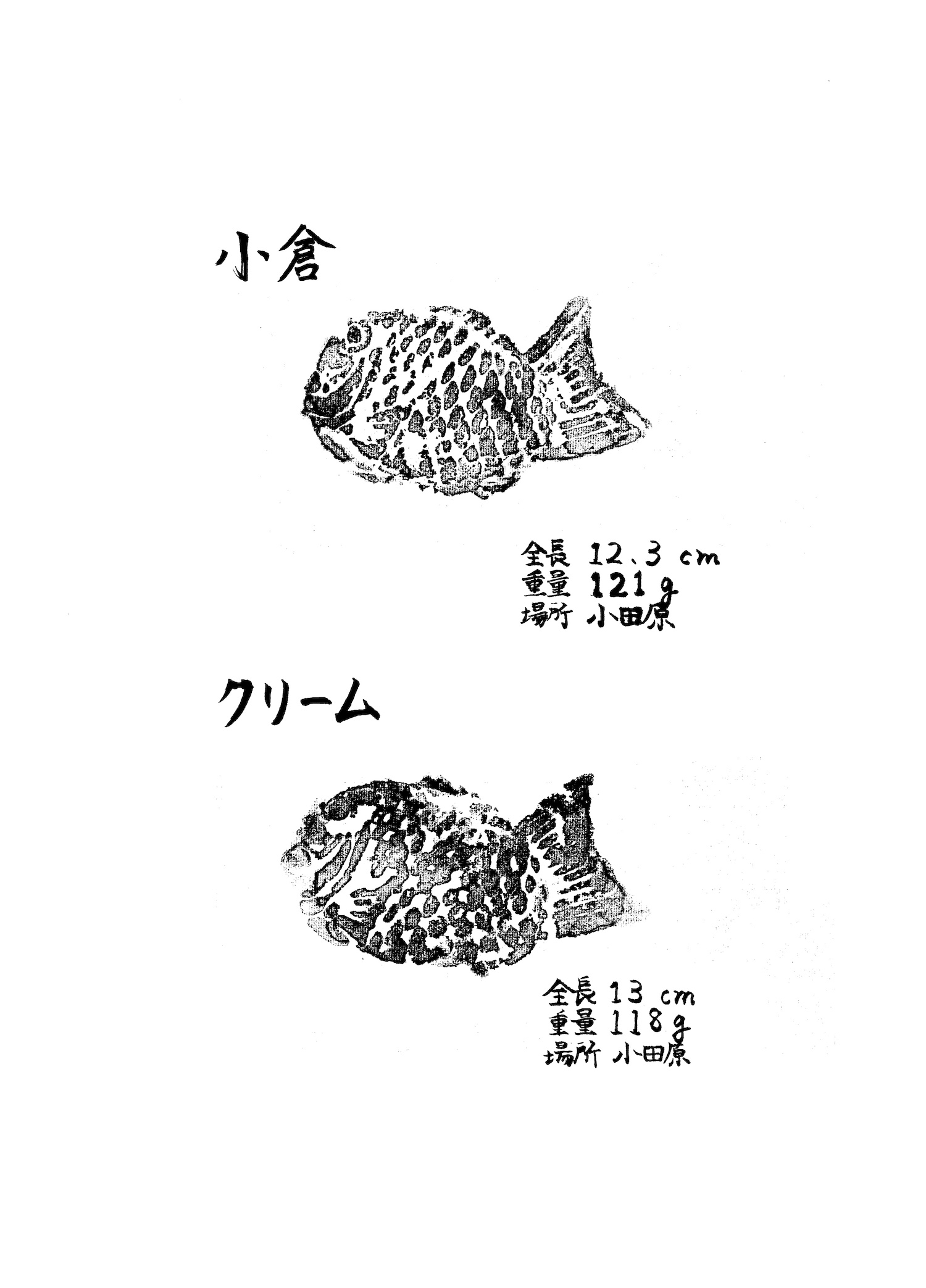 【漫画】フライドフィッシュは飛ぶフィッシュの画像