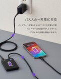 ”ドンキ限定”桜舞うモバイルバッテリーの画像