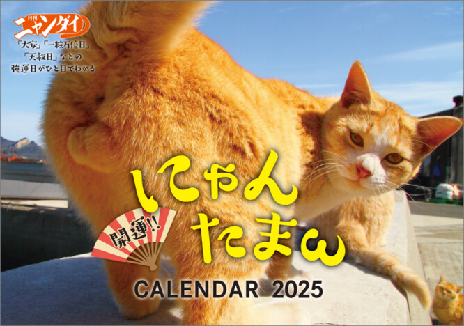 『開運!! にゃんたまωカレンダー2025』　ありがたい「にゃんたま」のお守りカード特典も