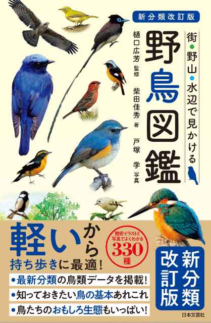 山菜＆きのこを厳選『野草・山菜・きのこ図鑑』の画像