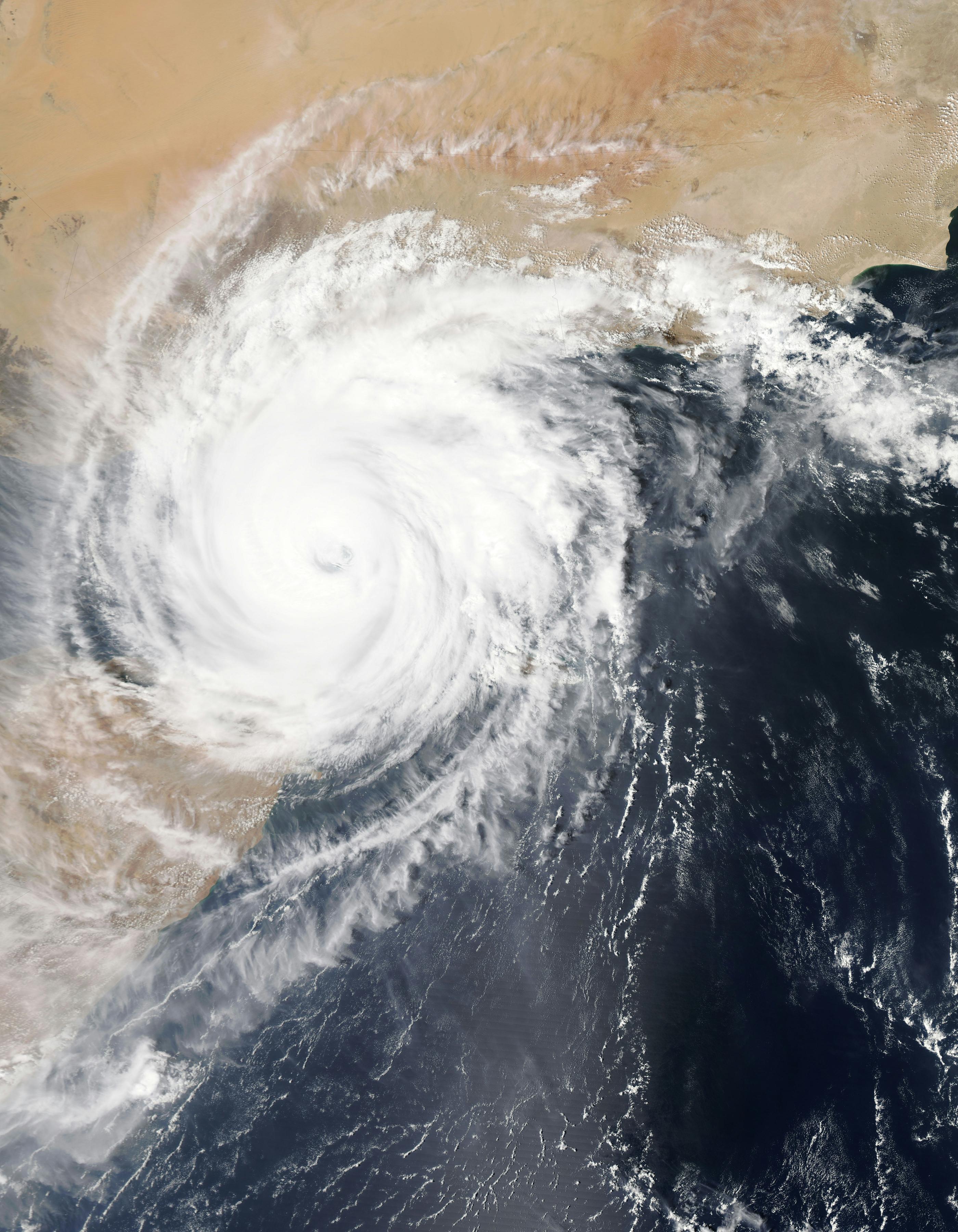 台風の名称はどうやって決まっている？の画像