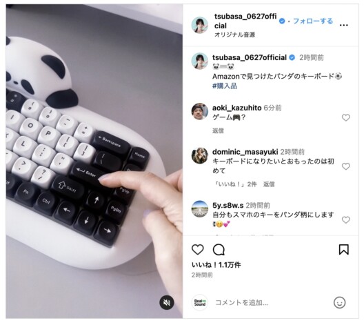 本田翼が“パンダのキーボード”をお迎え　愛くるしいデザインにファン「頭抱えるくらいかんわいい～」