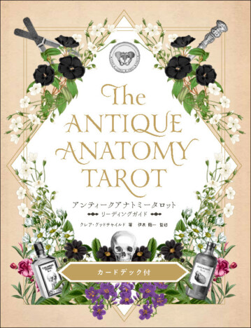 タロットの歴史や基礎がわかる　初心者に優しいガイドブック　78枚の美しいカードデック含む豪華パッケージ