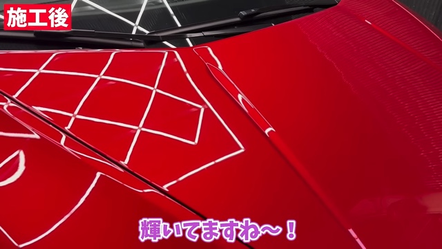 あま猫、ランボルギーニを洗車　の画像