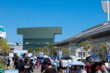 『ひなたフェス2024』／写真：木村泰之