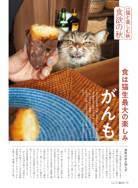 ヤバT・ありぼぼのインタビューも『猫びより』秋号の画像