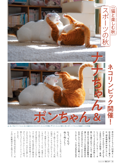 ヤバT・ありぼぼのインタビューも『猫びより』秋号の画像