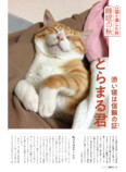 ヤバT・ありぼぼのインタビューも『猫びより』秋号の画像