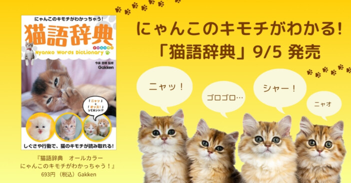 「ニャッ」は「オッス！」？　しぐさや行動で猫の気持ちがわかる『猫語辞典』