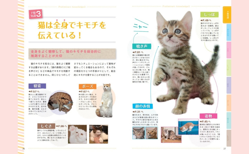 猫の気持ちがわかる『猫語辞典』の画像