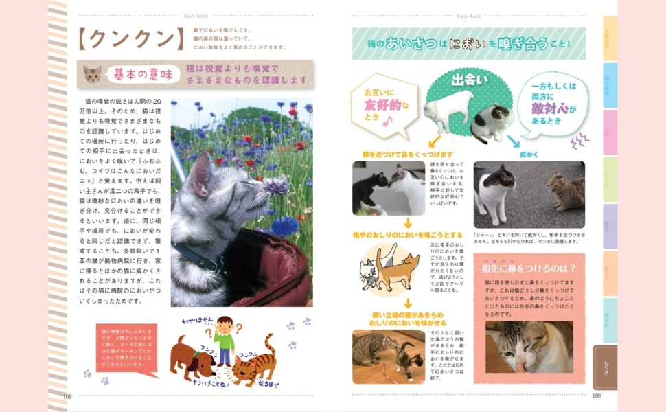 猫の気持ちがわかる『猫語辞典』の画像