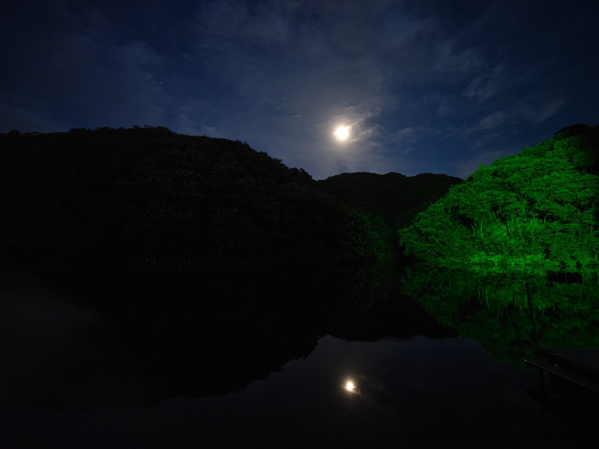 山奥で味わった「光と音の極上体験」の画像