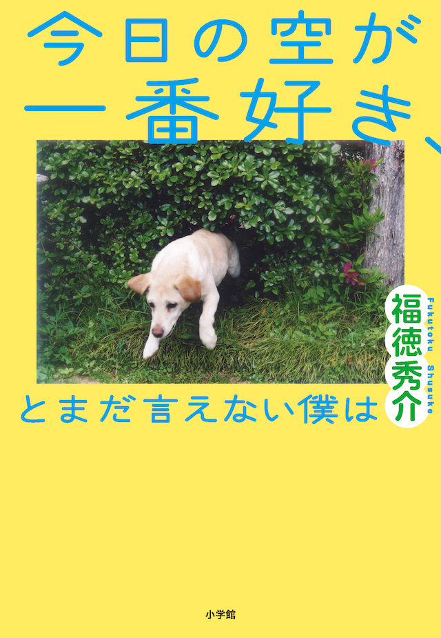 萩原利久×河合優実で福徳秀介の小説映画化の画像