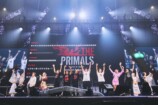 THE PRIMALSと光の戦士たちの「幸福な共鳴」の画像