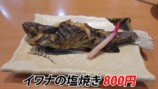 あま猫、ランボルギーニで日本一周の画像