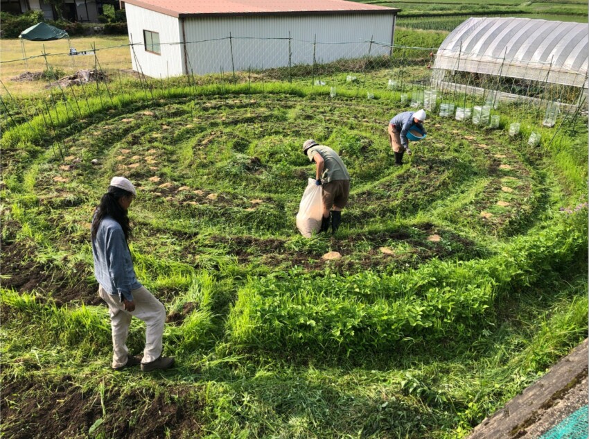  岡本よりたかが提唱するおひとり農業とは