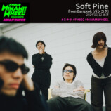 Soft Pine