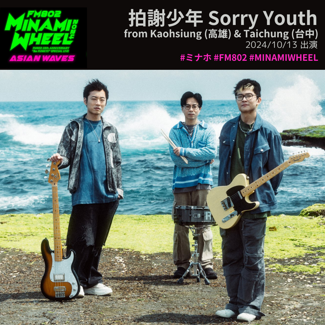 拍謝少年 Sorry Youth