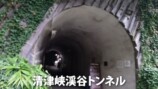 あま猫、ランボルギーニで日本一周の画像