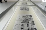 誰も見たことがない『ONE PIECE』展覧会の画像