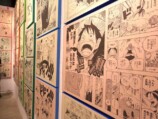 誰も見たことがない『ONE PIECE』展覧会の画像