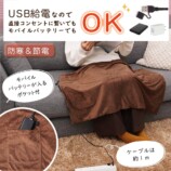 寒い時期の味方、USBヒーターブランケットの画像