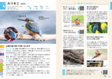 『探す、出あう、楽しむ　身近な野鳥の観察図鑑』の画像