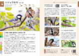 『探す、出あう、楽しむ　身近な野鳥の観察図鑑』の画像