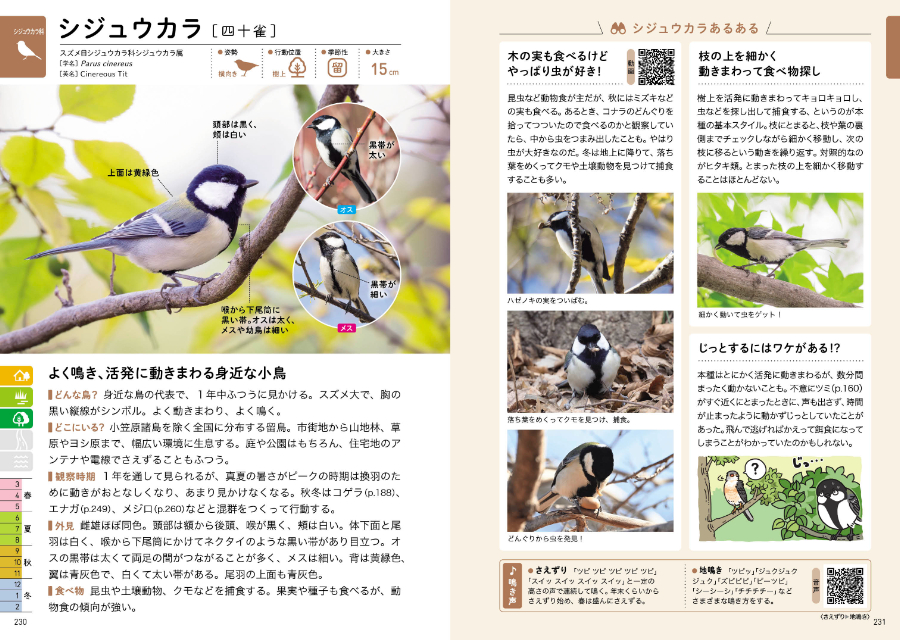 『探す、出あう、楽しむ　身近な野鳥の観察図鑑』の画像