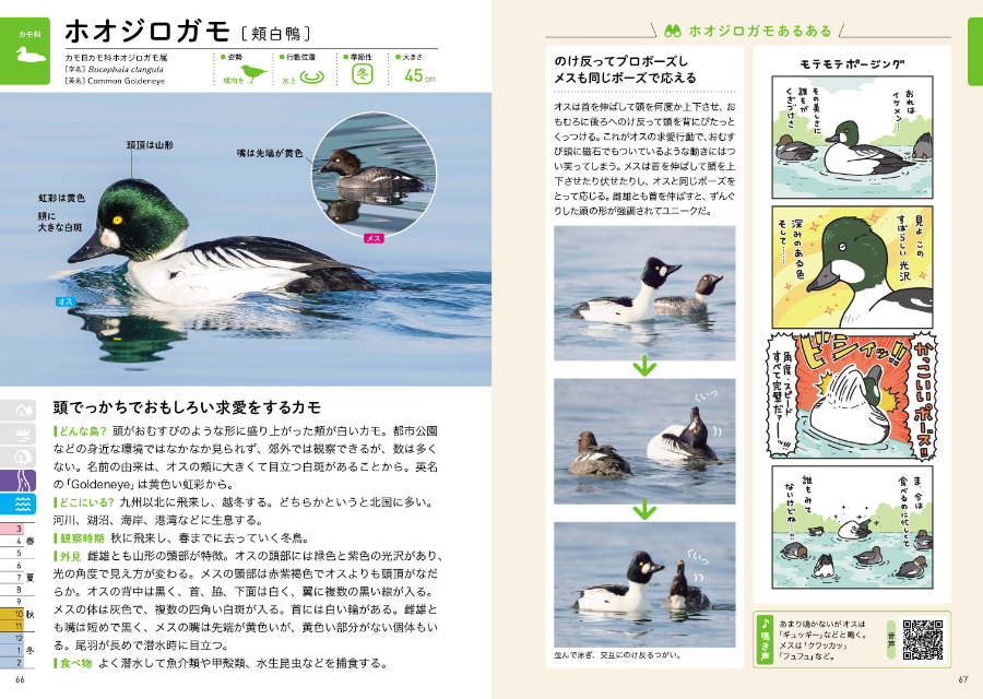 『探す、出あう、楽しむ　身近な野鳥の観察図鑑』の画像