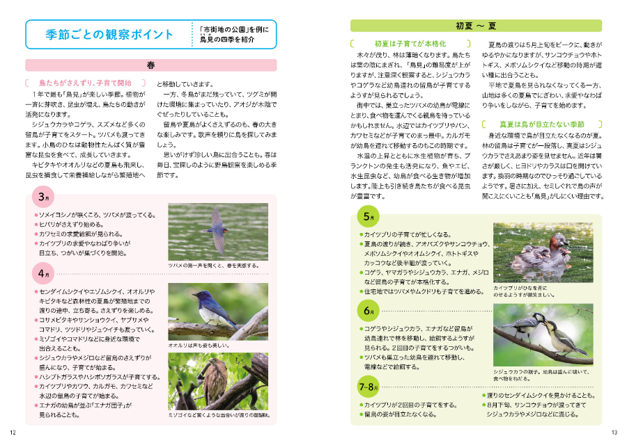 『探す、出あう、楽しむ　身近な野鳥の観察図鑑』の画像