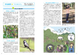 『探す、出あう、楽しむ　身近な野鳥の観察図鑑』の画像