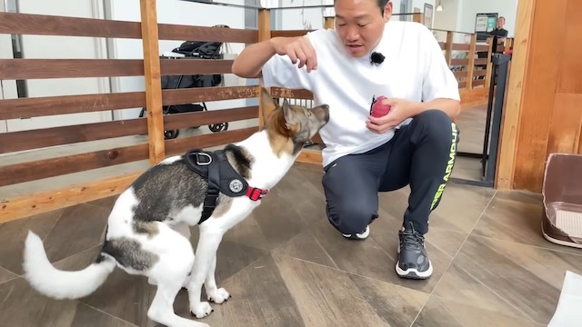 みやぞん、保護犬の成長にメロメロ　の画像