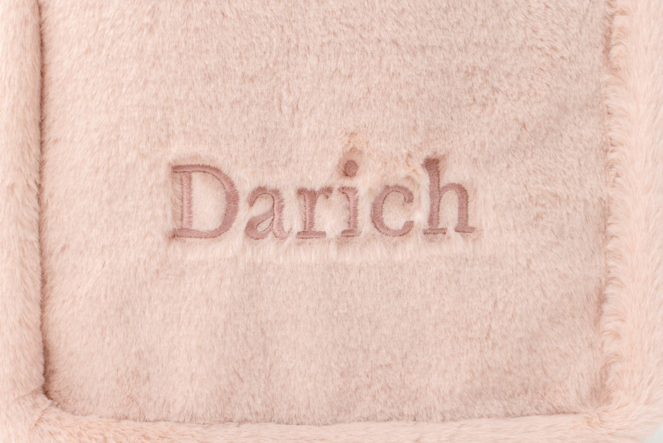 齊藤早紀プロデュース「Darich」ブランドムックの画像